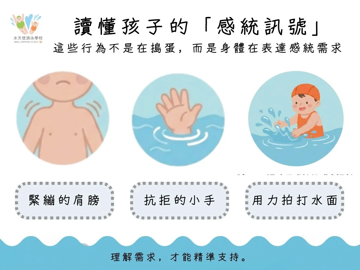 標題為『讀懂孩子的感統訊號』，圖示說明孩子在水中的行為及其感統需求：包含『緊繃的肩膀』、『抗拒的小手』以及『用力拍打水面』。底部註文字：理解需求，才能精準支持。
