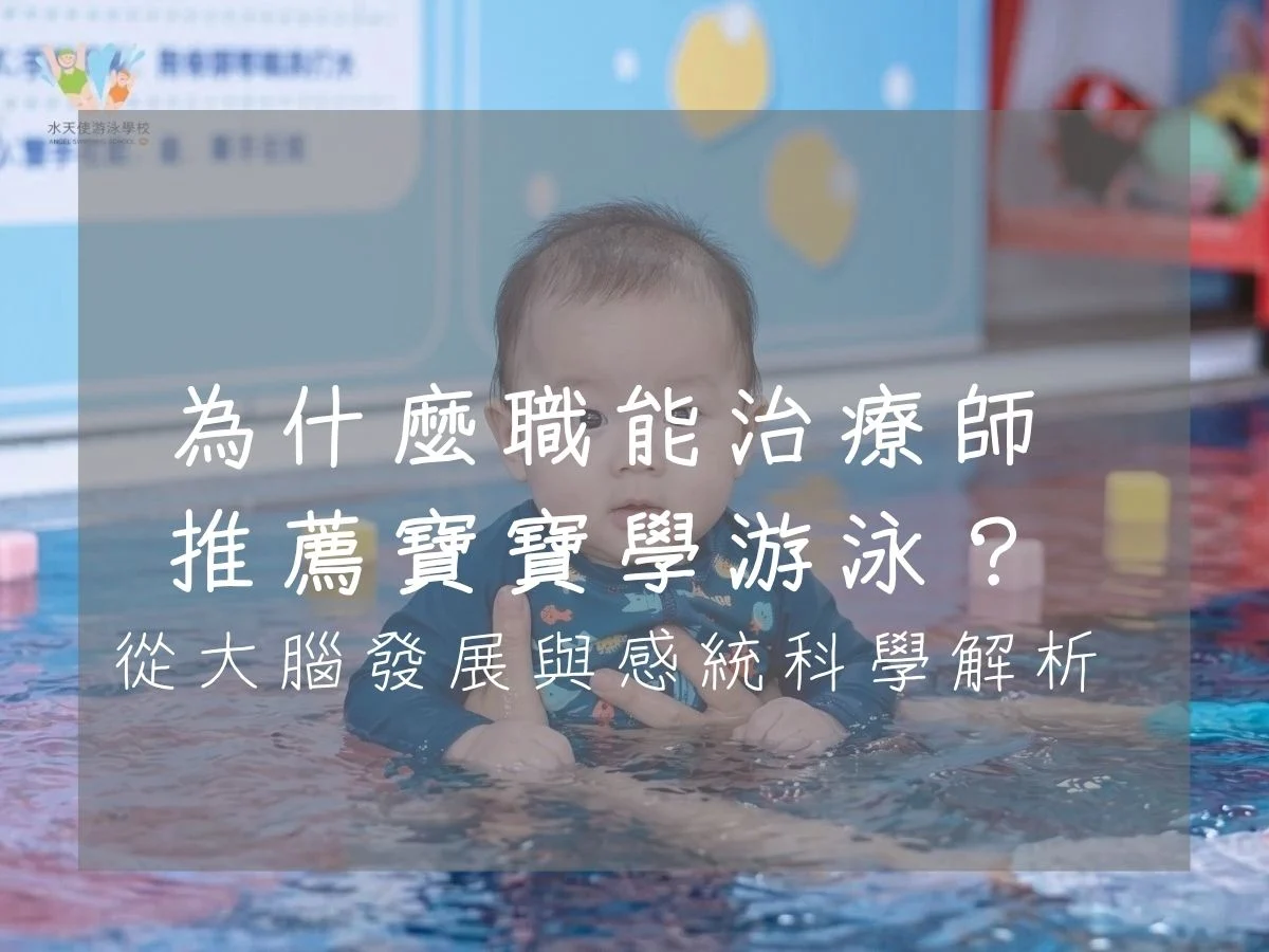 為什麼職能治療師-推薦寶寶學游泳？-從大腦發展與感統科學解析