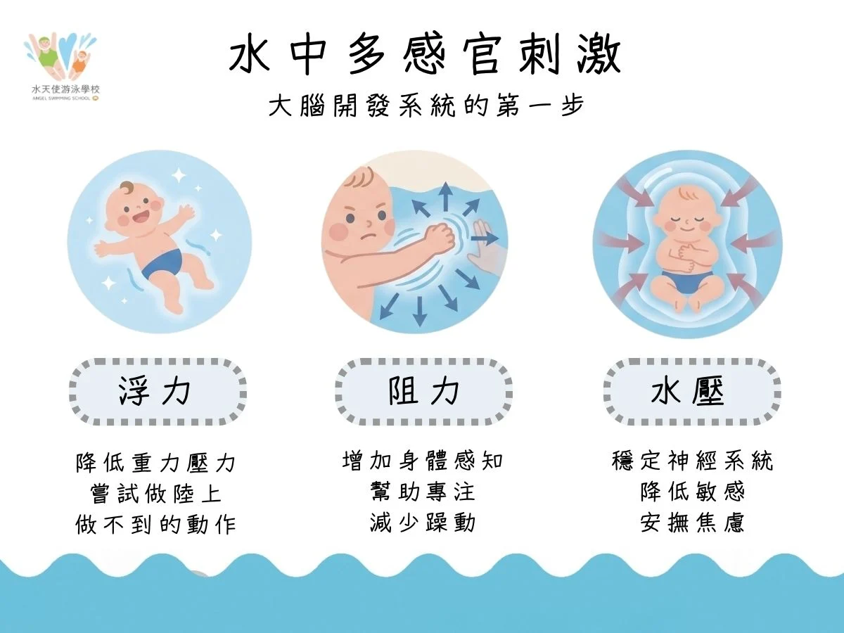 Alt： 為什麼職能治療師推薦寶寶學游泳？圖解水中感統刺激的三大關鍵：浮力能降低重力讓身體放鬆、阻力能增加本體覺提升專注力、水壓能穩定神經系統安撫情緒。