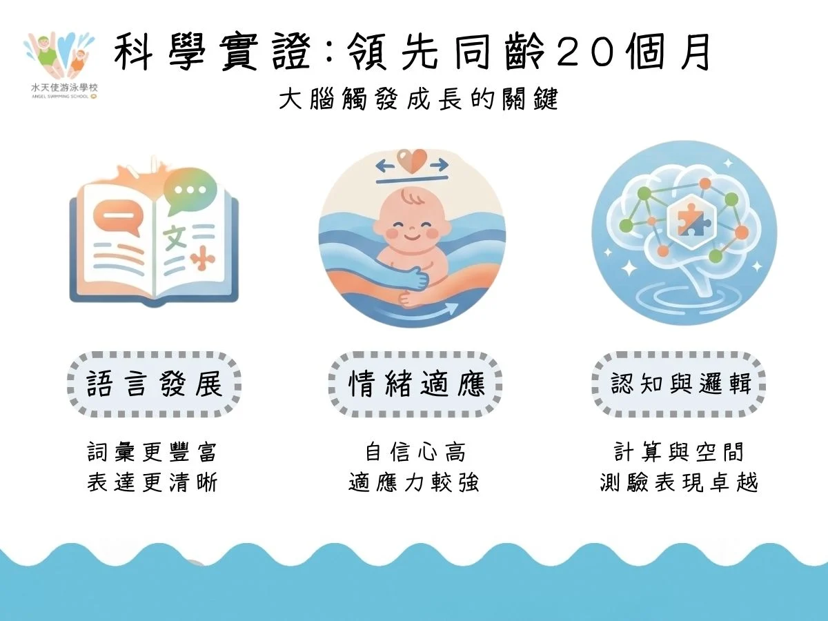Alt： 科學實證顯示早期游泳的孩子大腦發展領先同齡 20 個月。為什麼職能治療師推薦寶寶學游泳？因為它能顯著提升語言發展、情緒適應能力以及認知與邏輯思維。